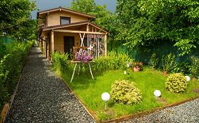 Zenyt Home